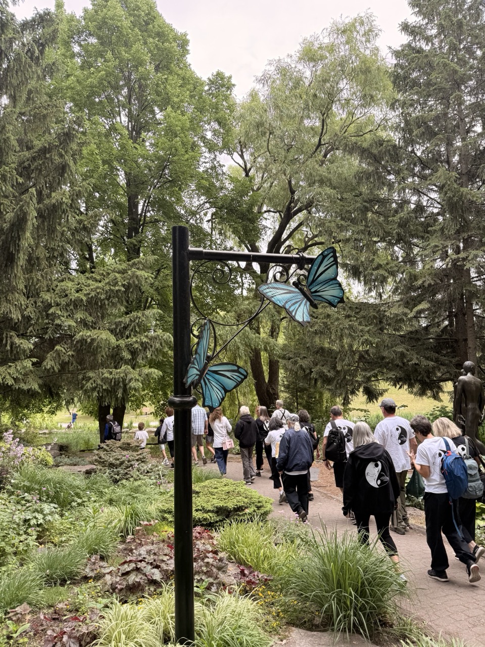 IMG_0627 – grande taille